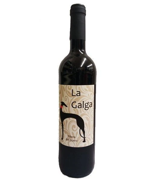 La Galga 2020
