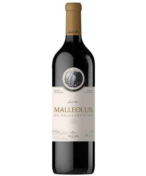 Malleolus De Valderramiro